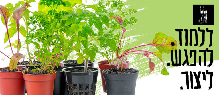 תמונה ללמוד להיפגש ליצור צמחים
