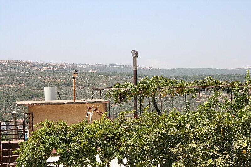 תמר מרום, מתוך אתר פיקיויקי